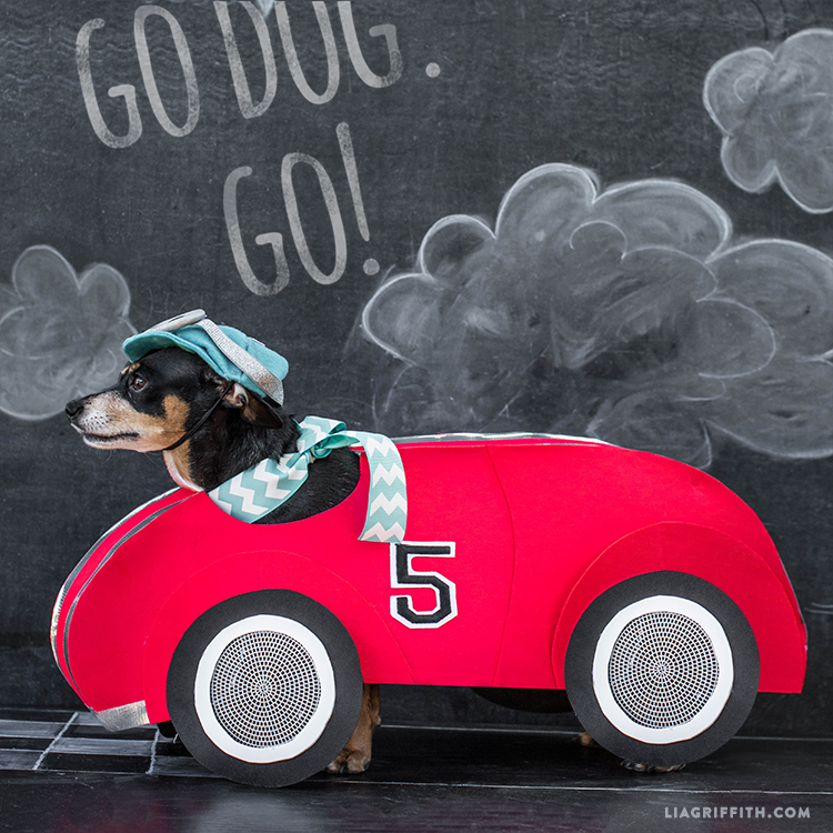 a dog in a racecar costume