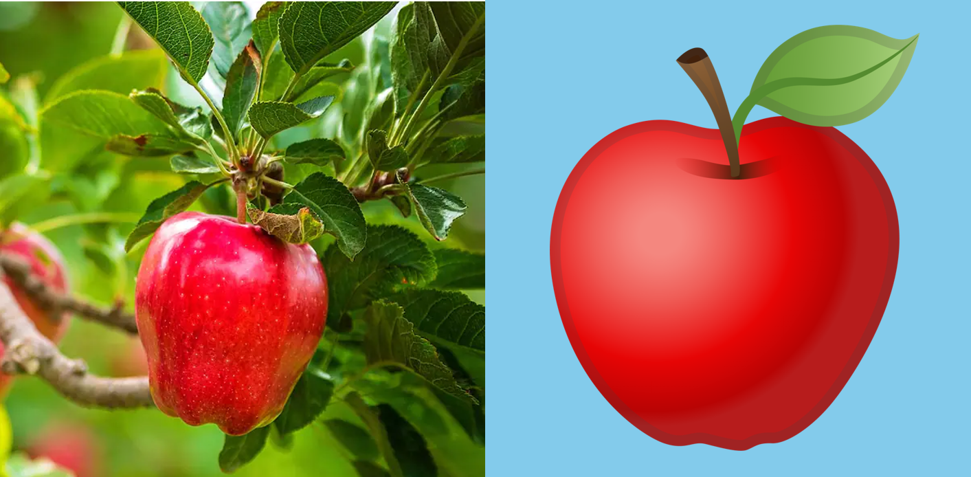 a picture of a real apple next to an apple emoji